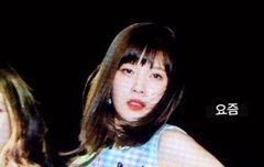 오늘 둥둥이 플뷰