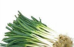 파랑 하늘 바람앜ㅋㅋㅋㅋㅌㅌㅌㅌㅋㅋ