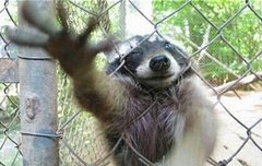 ㅈㅁ)사이다가 필요함