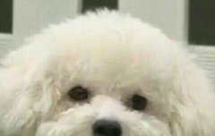 사슴언니 화이팅