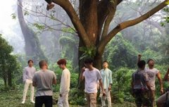 sm town 트윗 업뎃