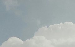 ㅅㄷ)공지 말이야