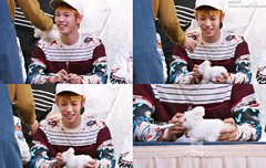 요정뇬 사슴뇬 조심하셈