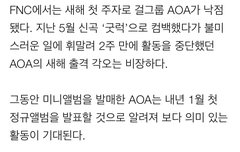 AOA 1월 컴백