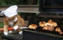 요즘은 잠을 못 자