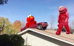 우리 엘모 지붕길만 걷자