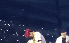 멍룡이가 노는법