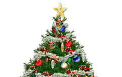 순딩이들 merry Christmas