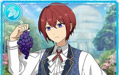 ㅈ중스타 카드ㄹ라는데