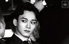 순딩이들 이짤 고화질뜬거 봤니..ㅠ