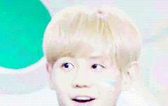 요서비 생일 추카추카추!!꾸시야!!