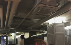 오늘 꿀보리 생일이다