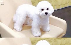 비비야 너 글 톡선갔다ㅋㅋㅋㅋㅋㅋㅋ