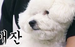 ㅅㄷ)각자 인생명대사 하나씩 쓰고 가