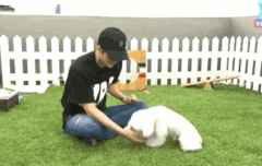 우리 귀여운 비비짤푼다