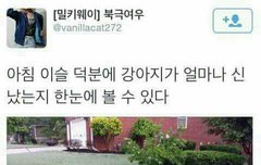 나와 은형인 커플용 자리에 앉고(컴퓨터 두개가 붙어있고 그앞에 두사람이 앉을수 있는 의자가있다), 본의 아니게 똑같이 커플용 자리에앉은 화진이와 동영이