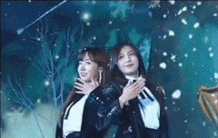 짹하는판다들아