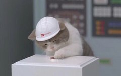 비비 살아있니?