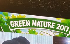 ㅂㄷ) 1차가 다한다는게 이런 말이구나ㅠㅠㅠ