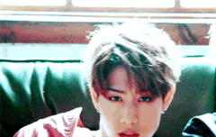 갓칠이들 짤털이 5