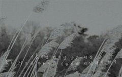 노래 너무 좋다