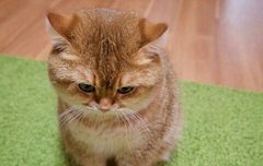 거의 짠맛이 없어