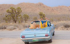 나 궁금한게 있는데...