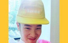 이 사진 고화질 있는벌