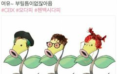 순딩이들 이거봤어? ㅋㅋㅋ