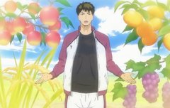 우시지마 농부판다