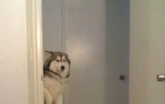 우리언제쯤 공식응원봉이ㅇㅅaㅇ