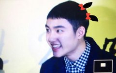 능능이들 뭐하냐능