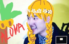 하와이 경수라능