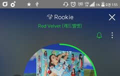 루키 예상 적중