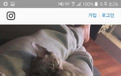 진짜 심장떨리게 한다...