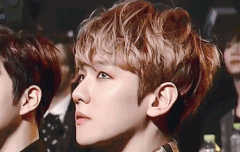 ㅂㄷ) 오늘자 마스터 B