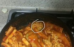 tree현 우리만두 엄청 좋아하는듯