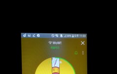 서양수박 진입 17등이야