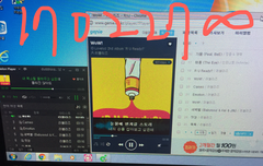 딩고영상보고온 인슾입니당