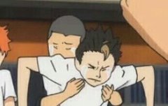 ㅅㄷ나이제고삼인덕인데