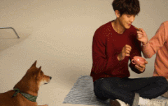 열이 움짤턴당2