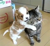 이거 학연이랑 택우니가태 ㅜㅜ