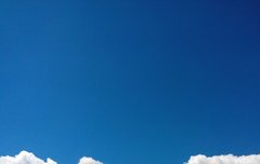 ㅂㄷ) 이건ㅂㄷ다..!