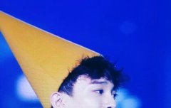 말레이시아콘 종대 퓨 (너무 더워보여서 안쓰럽다)