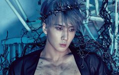 별빛들 최애 컨셉이 뭐야?