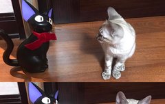 뎨 오랜만에 인스타!!