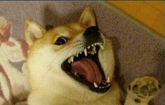 나 머글인데 하이라이트