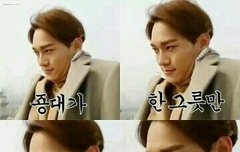 다이어트 하는 순딩이들 보구가