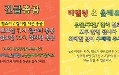 8일 오늘 밤11시, 내일 총공있음,필독