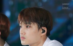 처연미 쩨리 카이